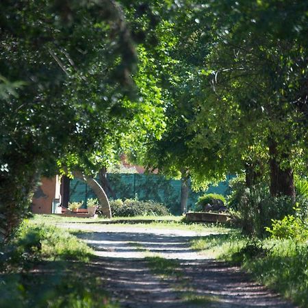 La Villa Delle Rose Roma Ngoại thất bức ảnh