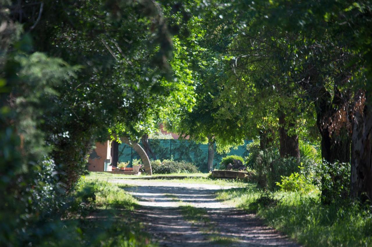 La Villa Delle Rose Roma Ngoại thất bức ảnh